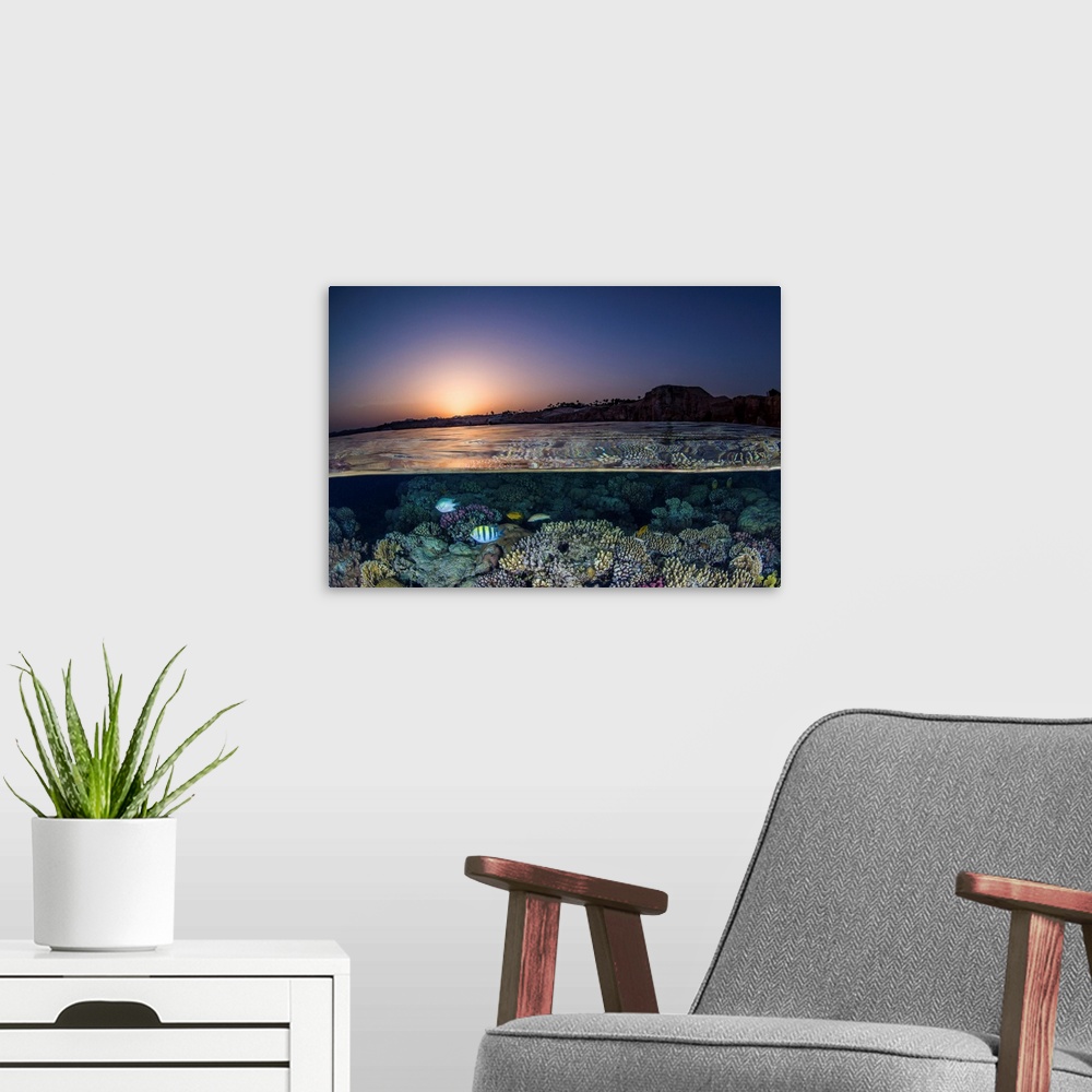 A modern room featuring An over under of the sunset in the Red Sea and a coral reef.