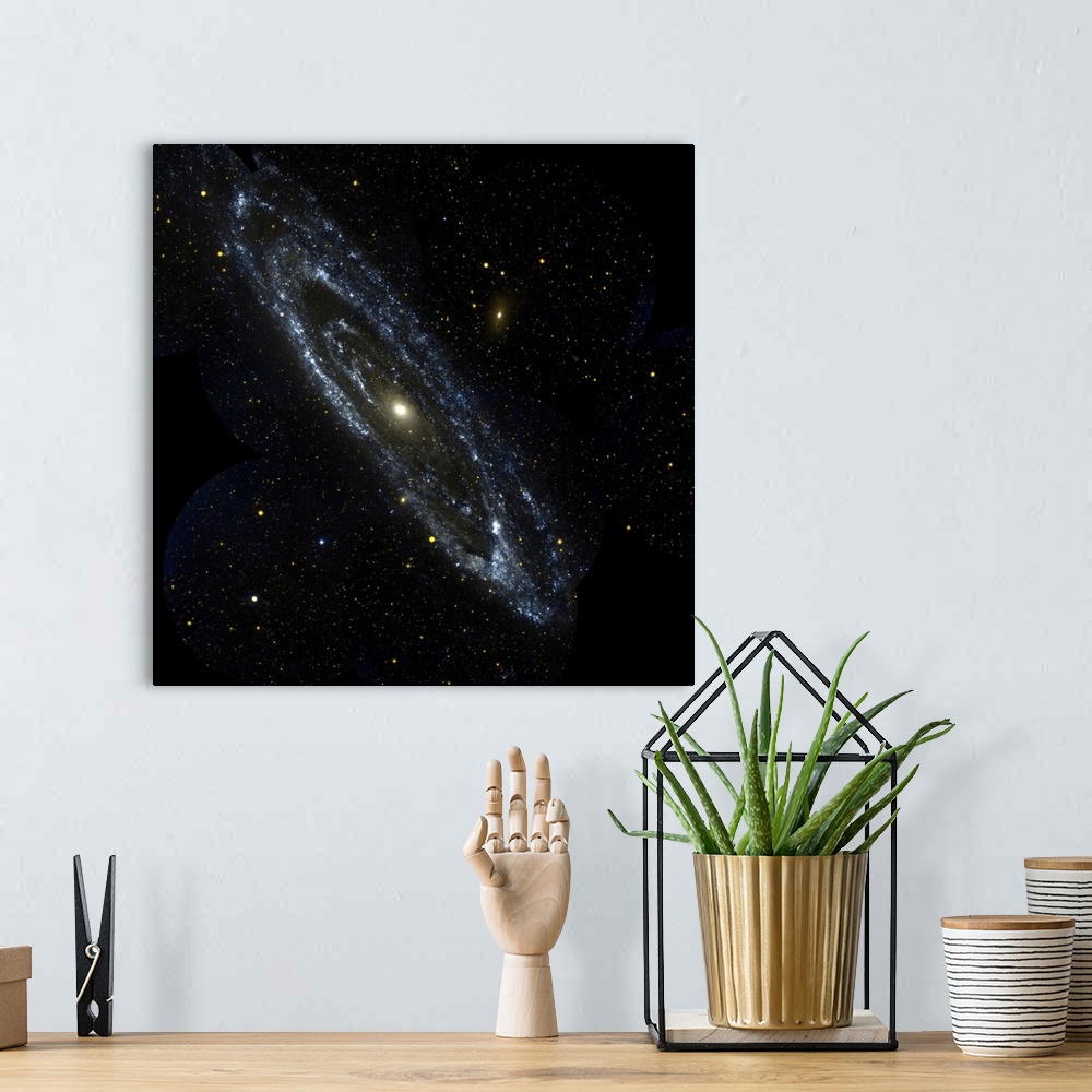 A bohemian room featuring Andromeda Galaxy