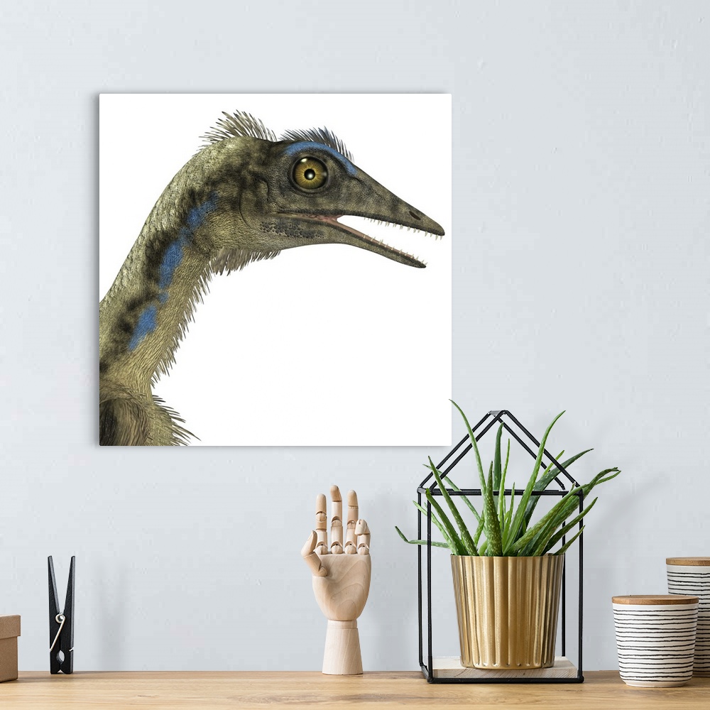 A bohemian room featuring Archaeopteryx is a carnivorous bird that lived during the Jurassic period of Germany.
