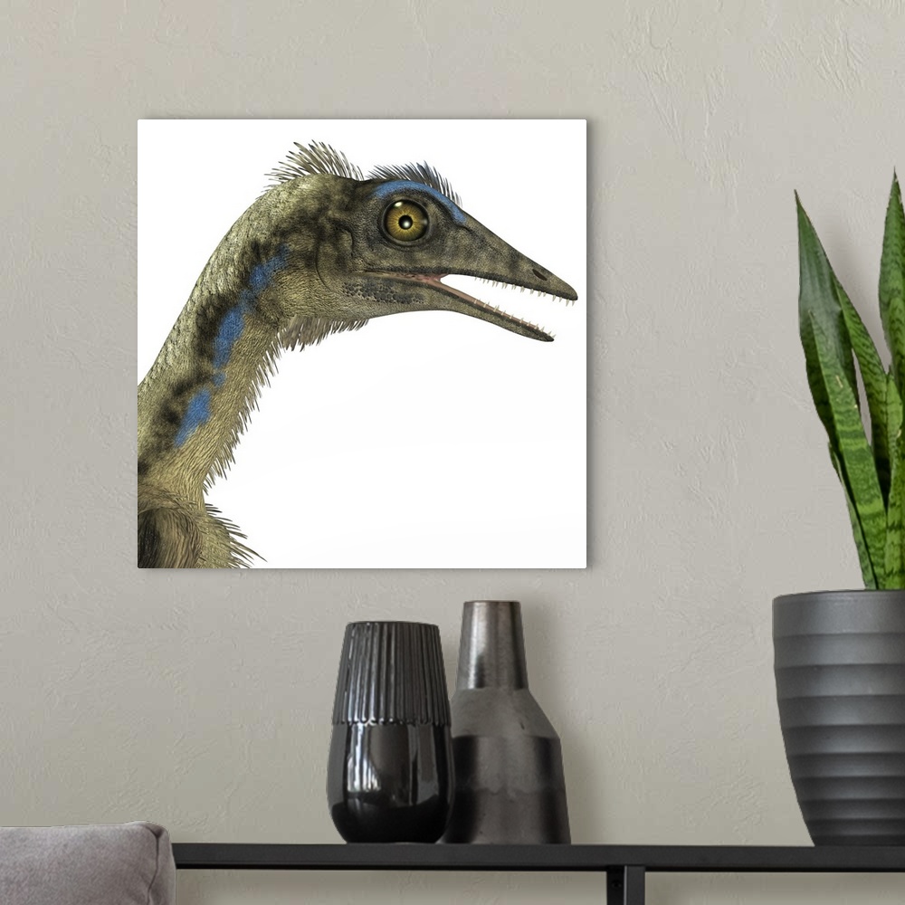 A modern room featuring Archaeopteryx is a carnivorous bird that lived during the Jurassic period of Germany.