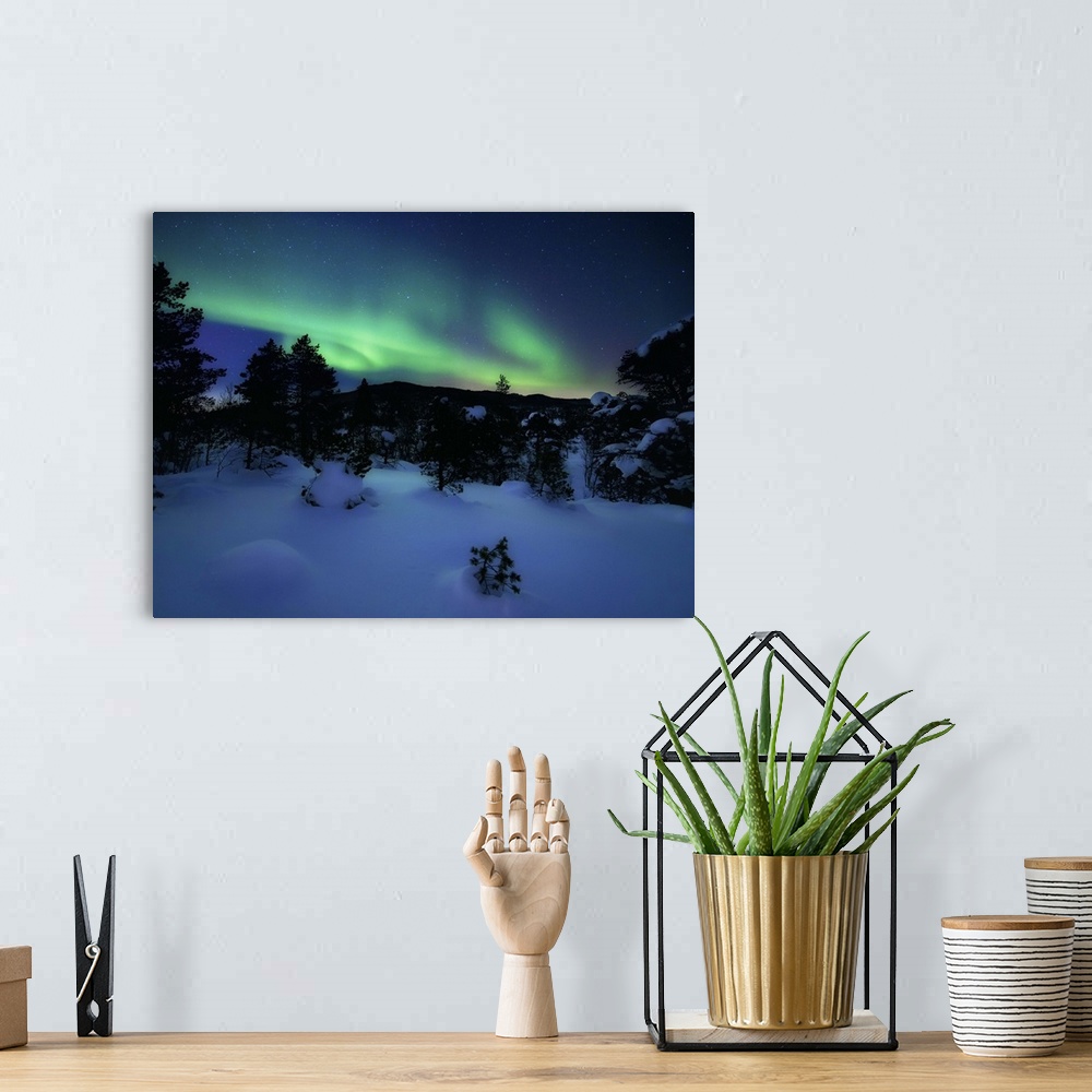 A bohemian room featuring Aurora Borealis over Forramarka Woods in Tennevik, Troms County, Norway. Auroras are the result o...