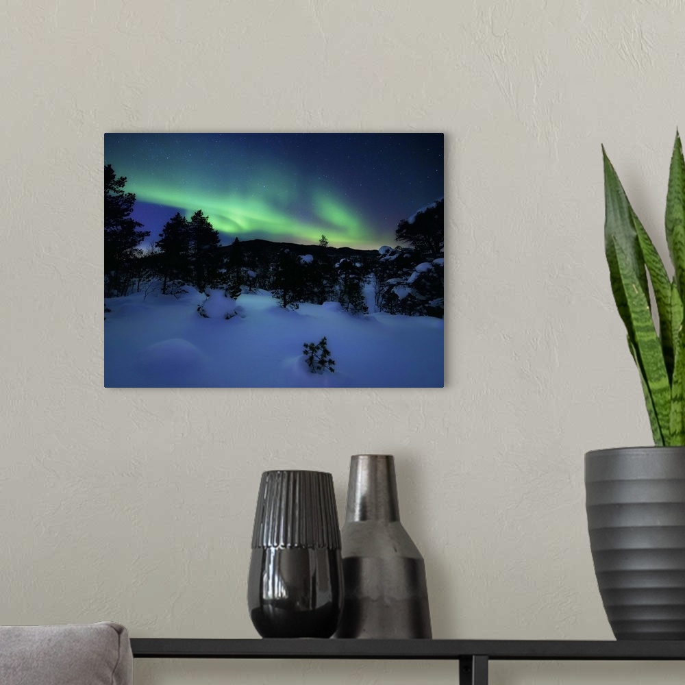 A modern room featuring Aurora Borealis over Forramarka Woods in Tennevik, Troms County, Norway. Auroras are the result o...