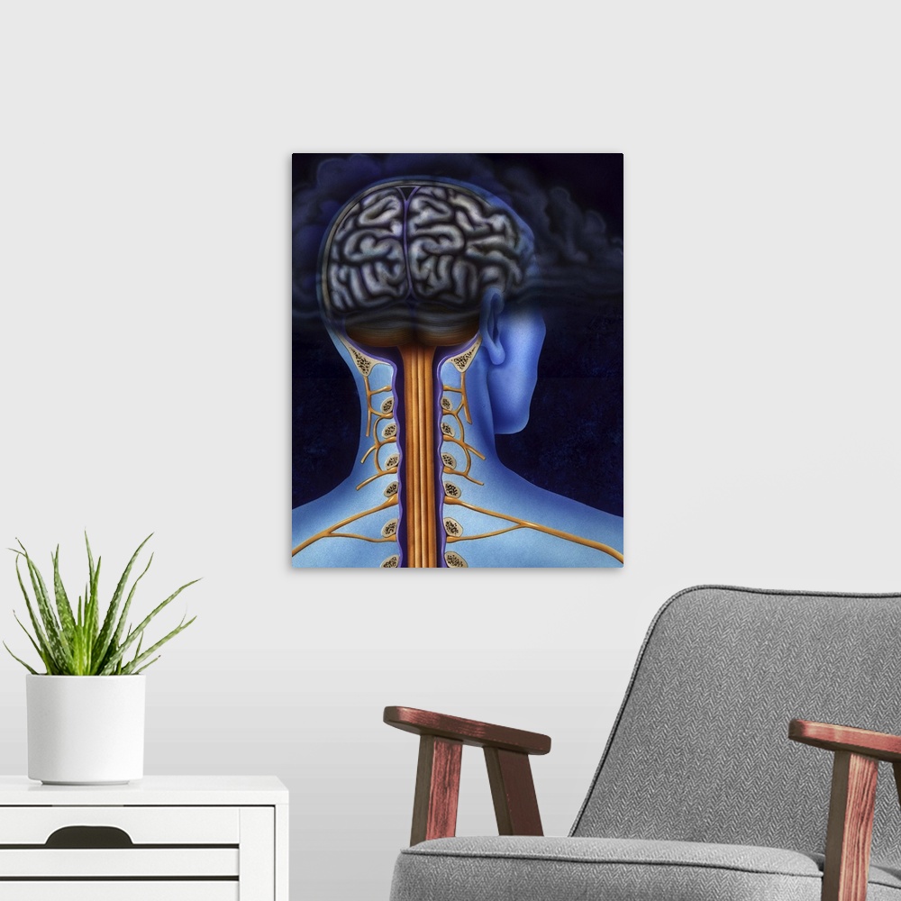 A modern room featuring Schematic showing back of brain and spinal cord. Head in dark cloud indicating depression.