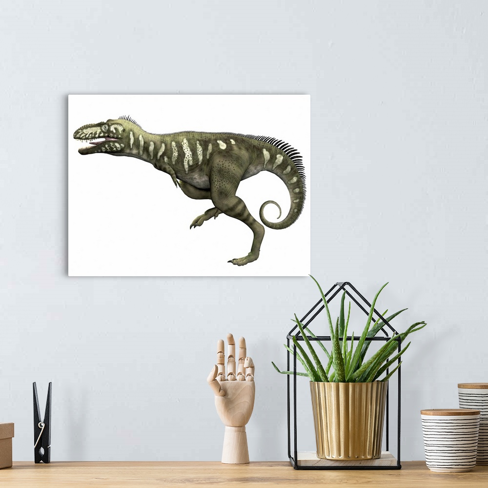 A bohemian room featuring Bistahieversor is a carnivorous dinosaur that lived during the Cretaceous Period of New Mexico.