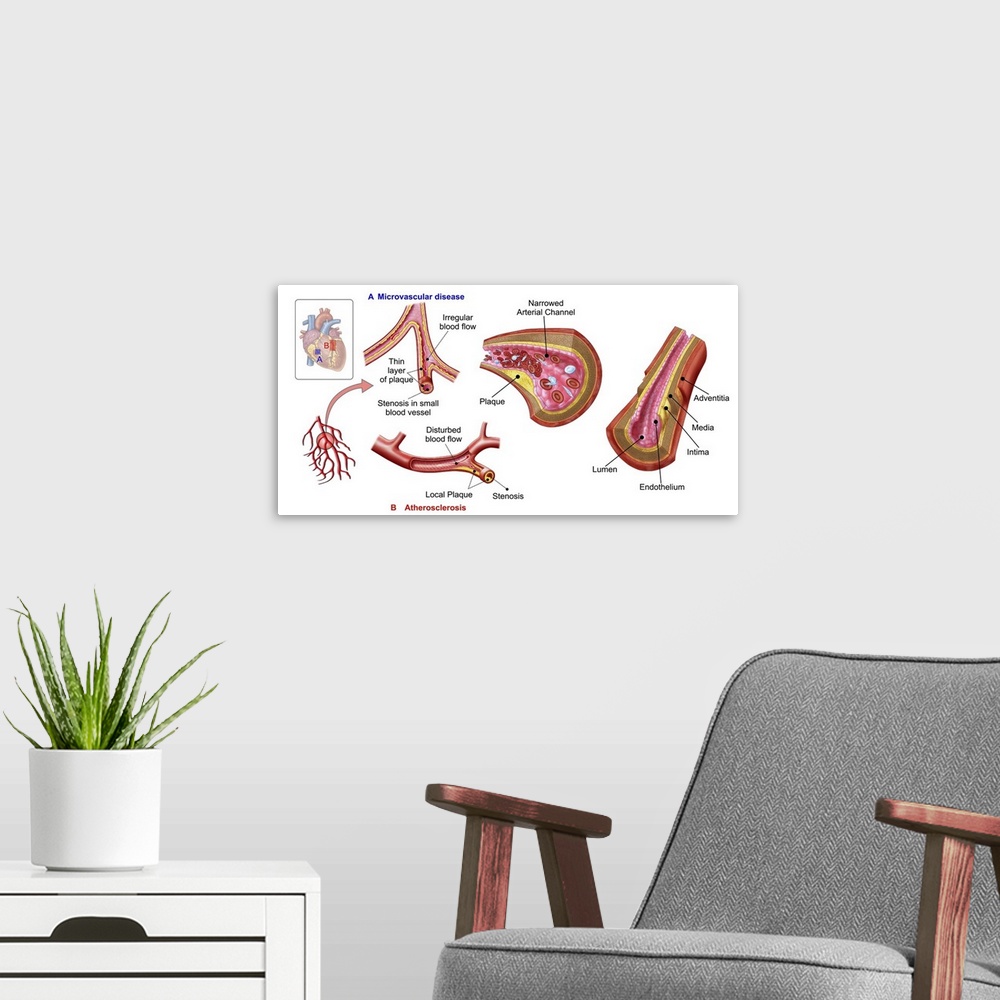 A modern room featuring Blood vessel anatomy.