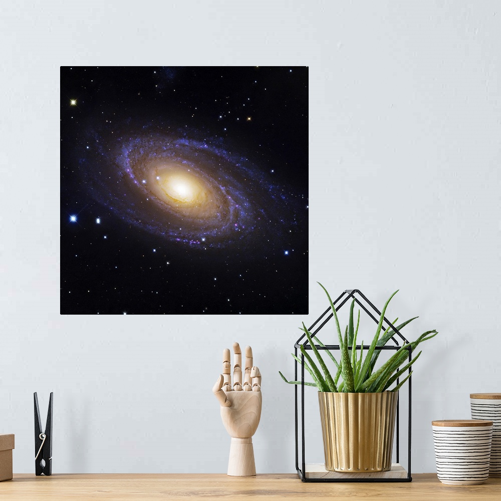 A bohemian room featuring Bodes Galaxy a spiral galaxy located in Ursa Major