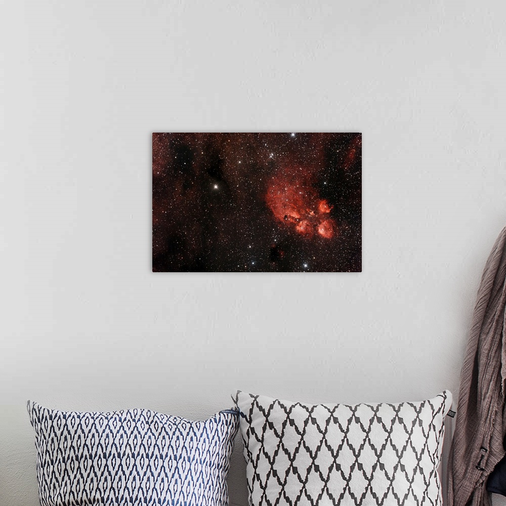 A bohemian room featuring Cats Paw Nebula in Scorpius