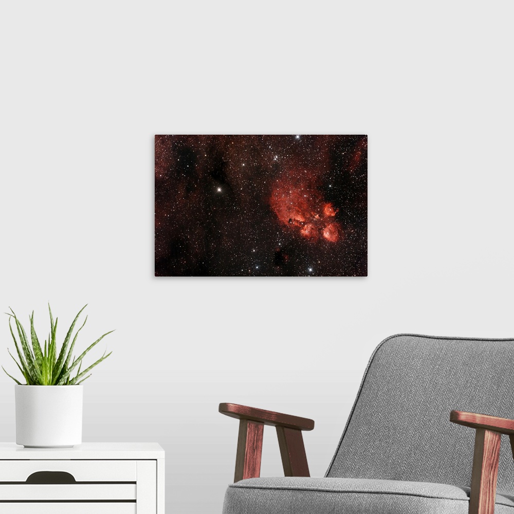 A modern room featuring Cats Paw Nebula in Scorpius