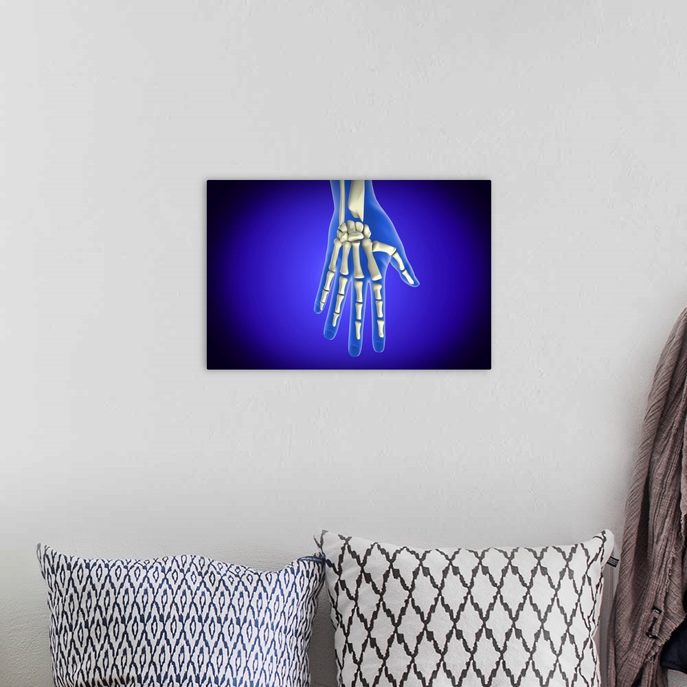 A bohemian room featuring Conceptual image of bones in human hand.