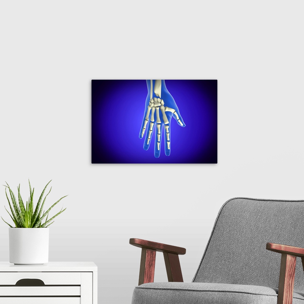 A modern room featuring Conceptual image of bones in human hand.