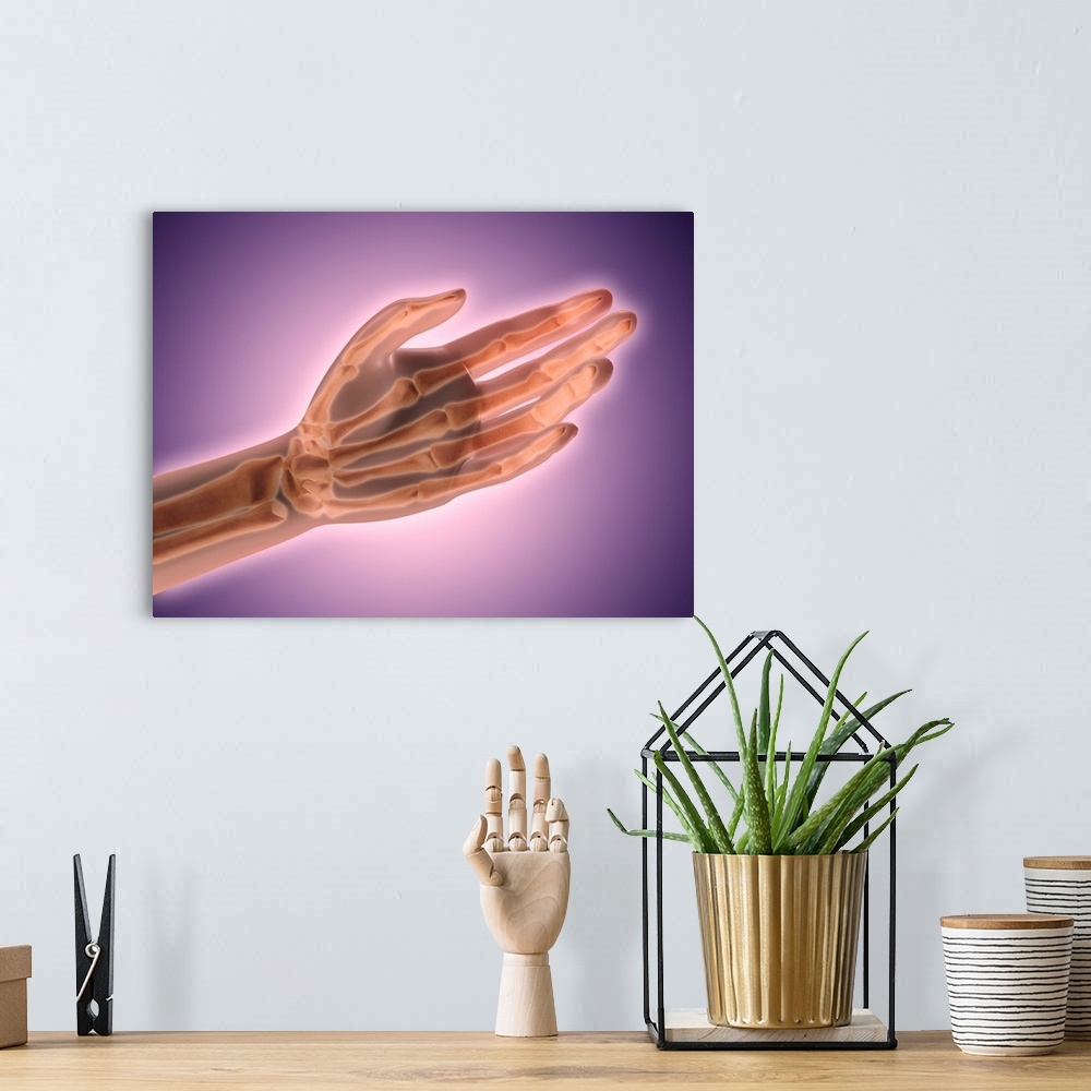 A bohemian room featuring Conceptual image of bones in human hand.