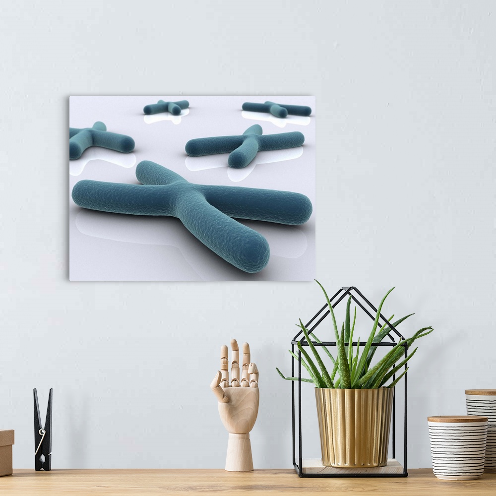 A bohemian room featuring Conceptual image of chromosome.