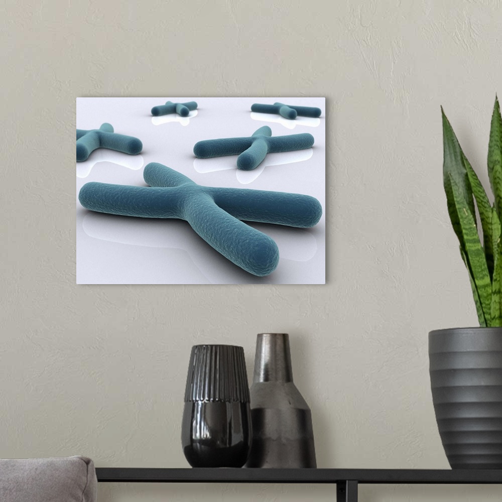A modern room featuring Conceptual image of chromosome.