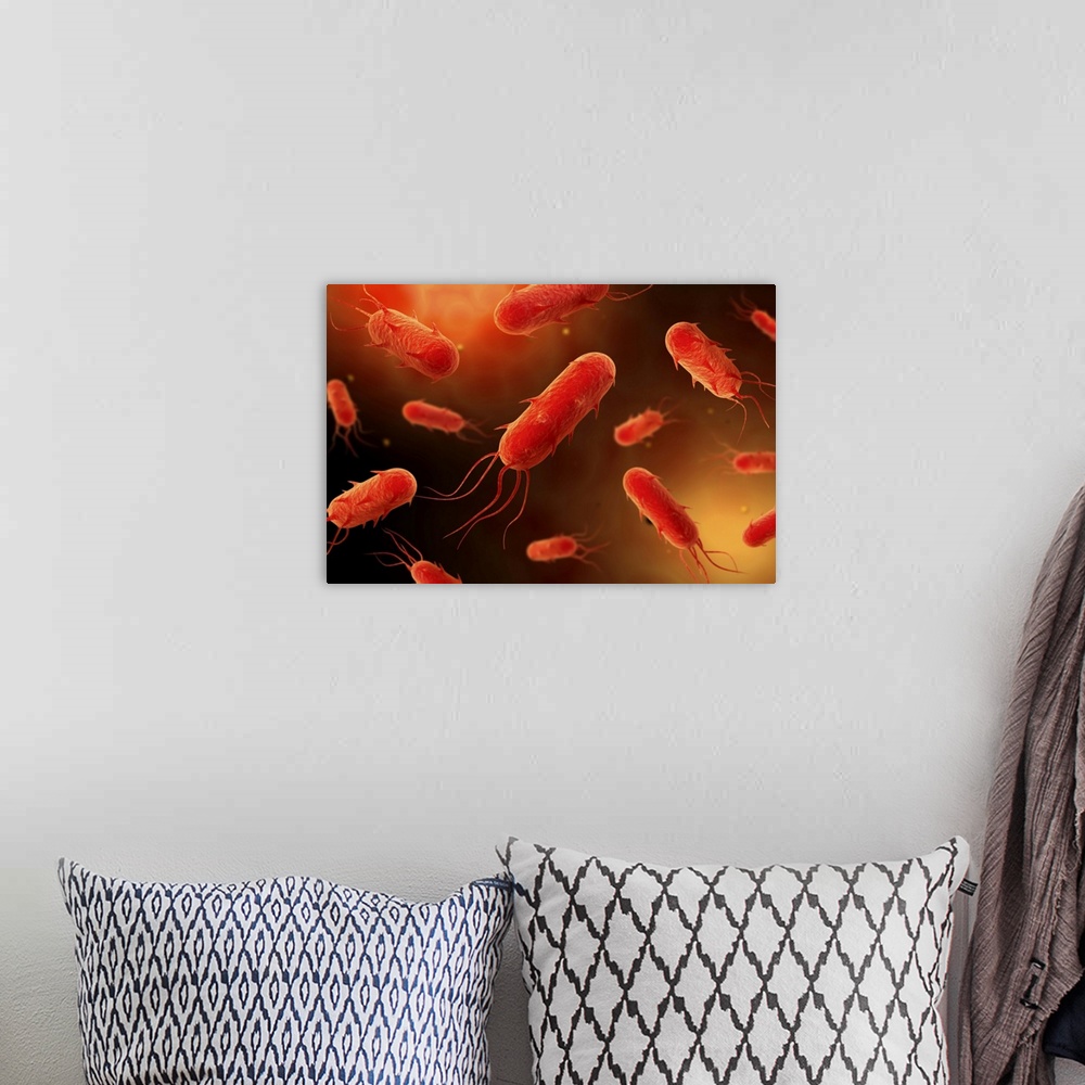 A bohemian room featuring Conceptual image of flagellate bacterium.
