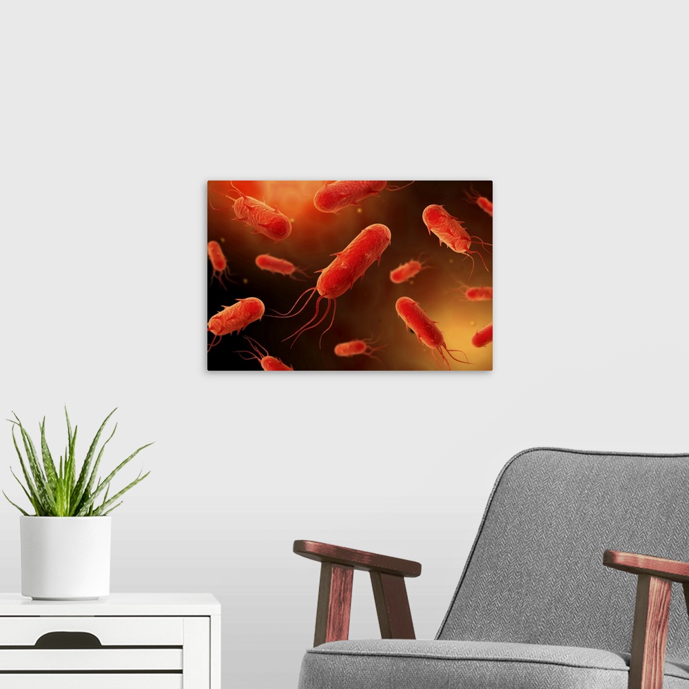 A modern room featuring Conceptual image of flagellate bacterium.