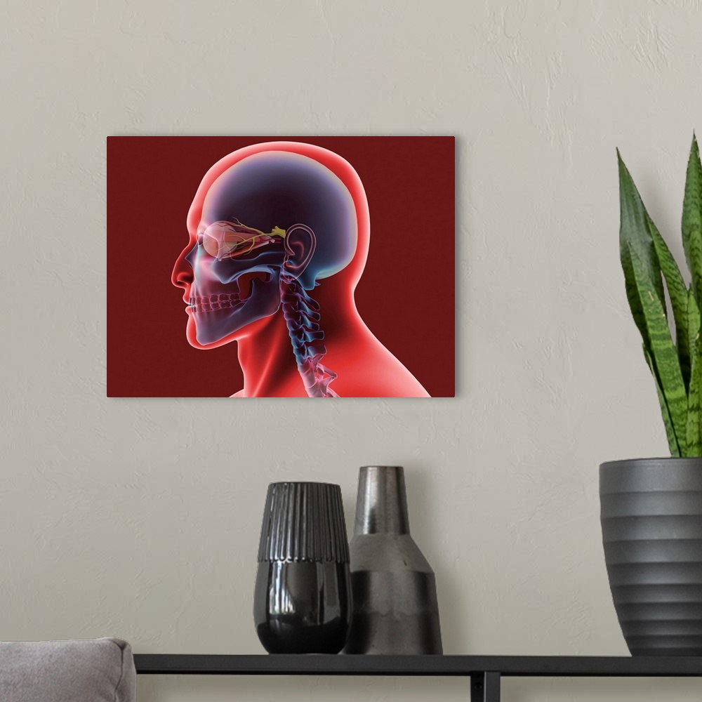 A modern room featuring Conceptual image of human eye and skull.