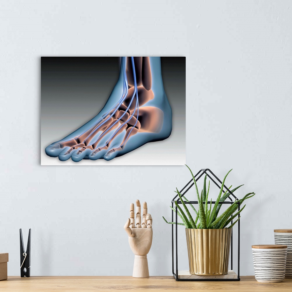 A bohemian room featuring Conceptual image of human foot with nervous system.