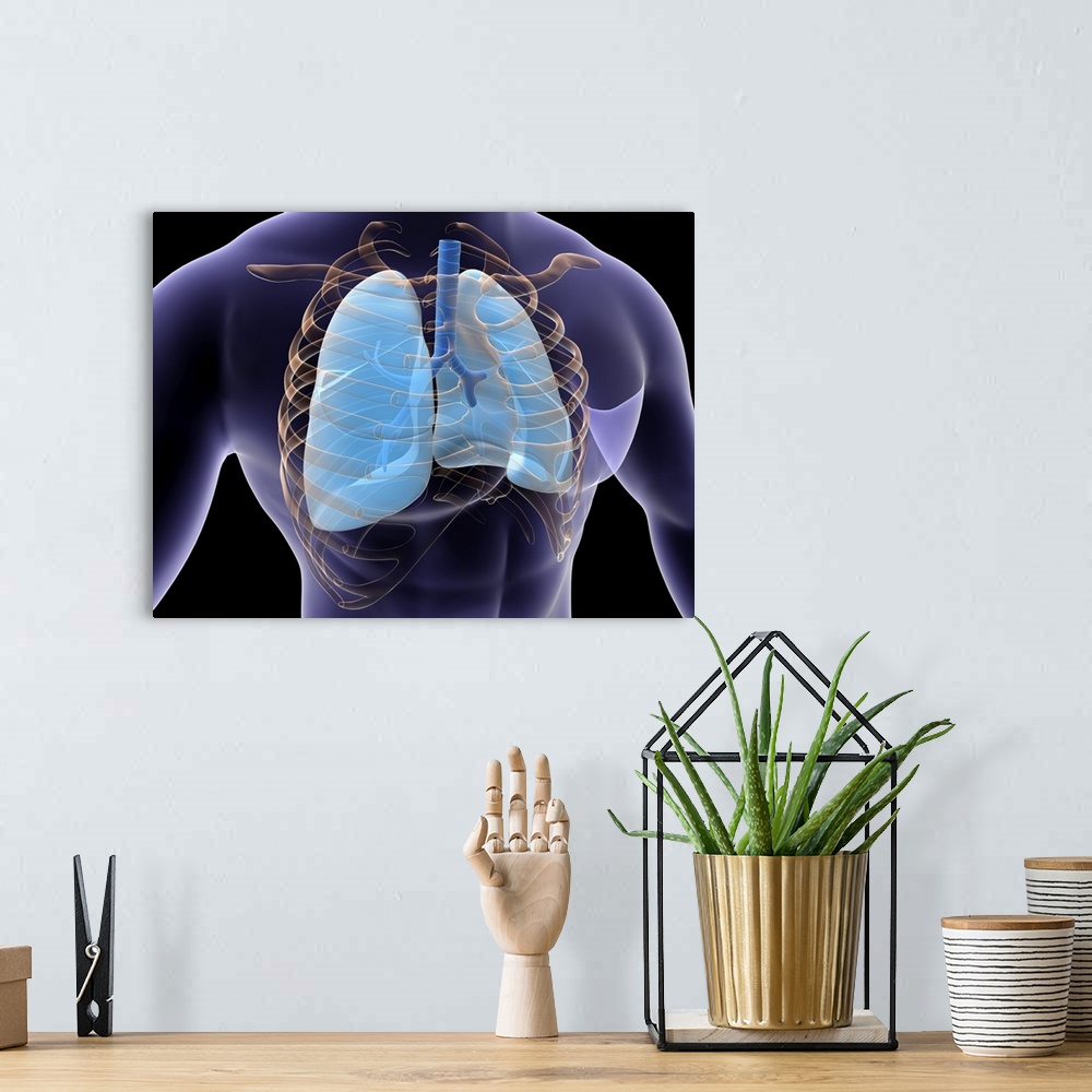 A bohemian room featuring Conceptual image of human lungs and rib cage.