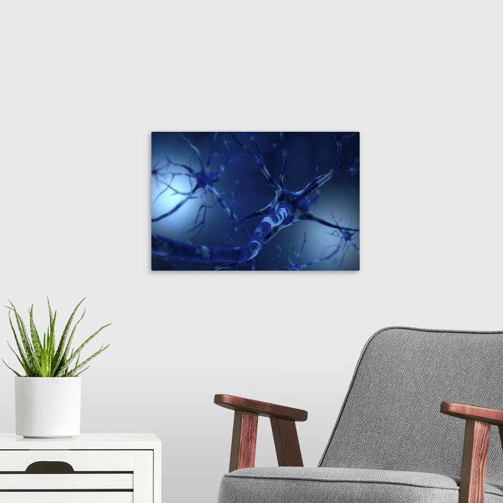 A modern room featuring Conceptual image of neuron.