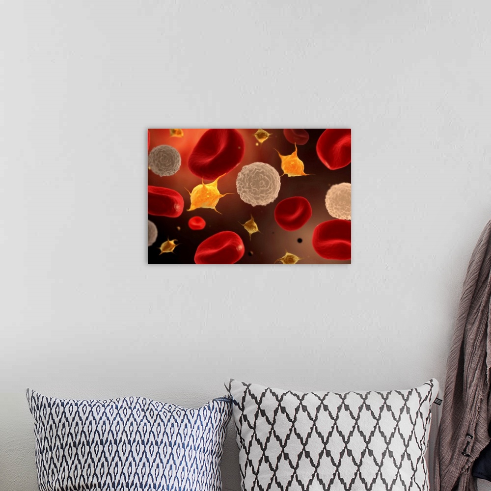 A bohemian room featuring Conceptual image of platelets with white blood cells and red blood cells.
