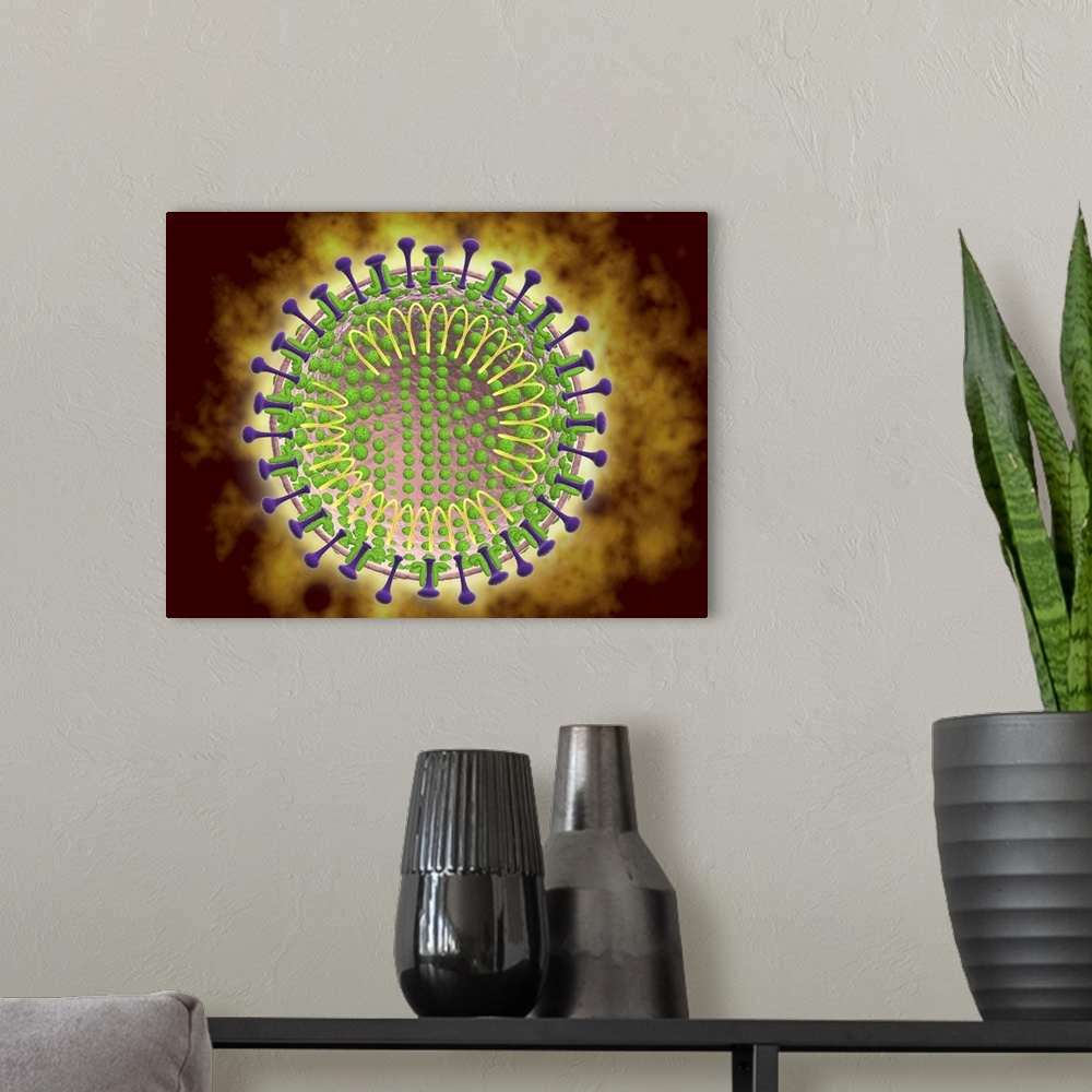 A modern room featuring Conceptual image of the coronavirus. Coronaviruses primarily infect the upper respiratory and gas...