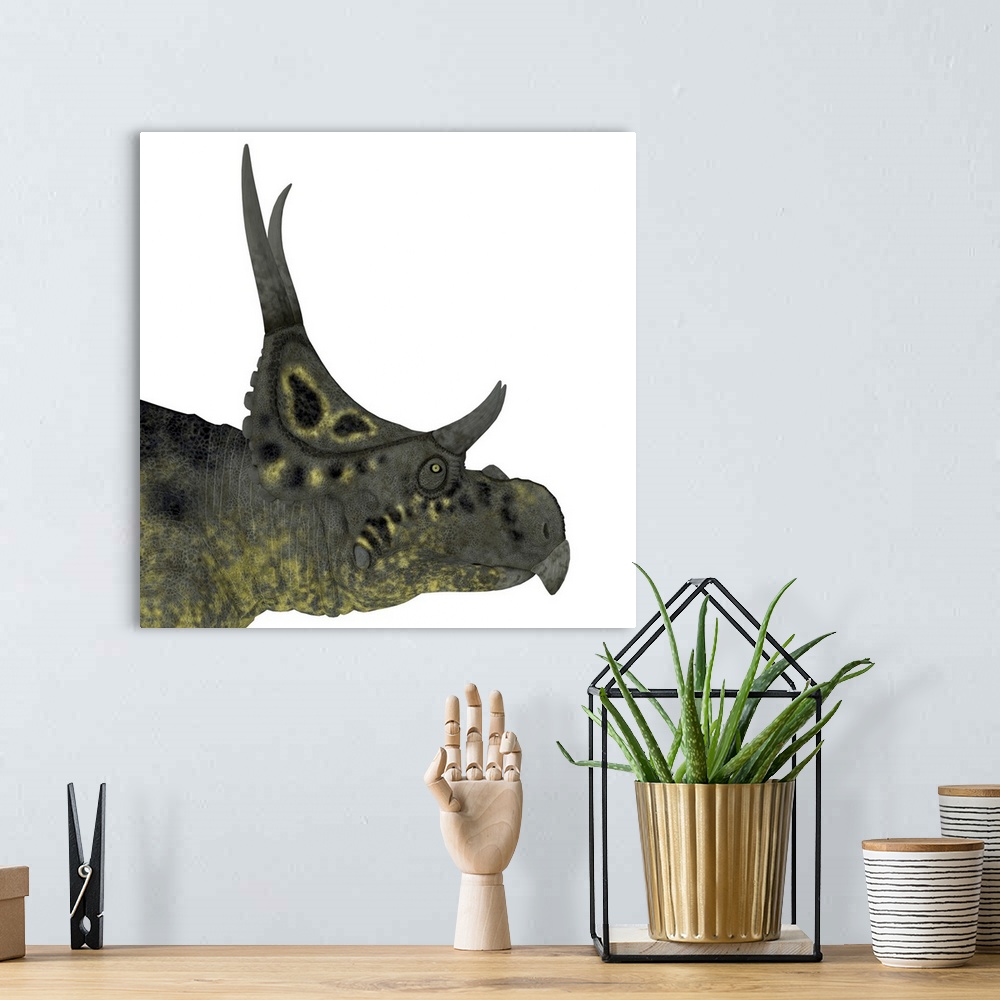 A bohemian room featuring Diabloceratops dinosaur head.