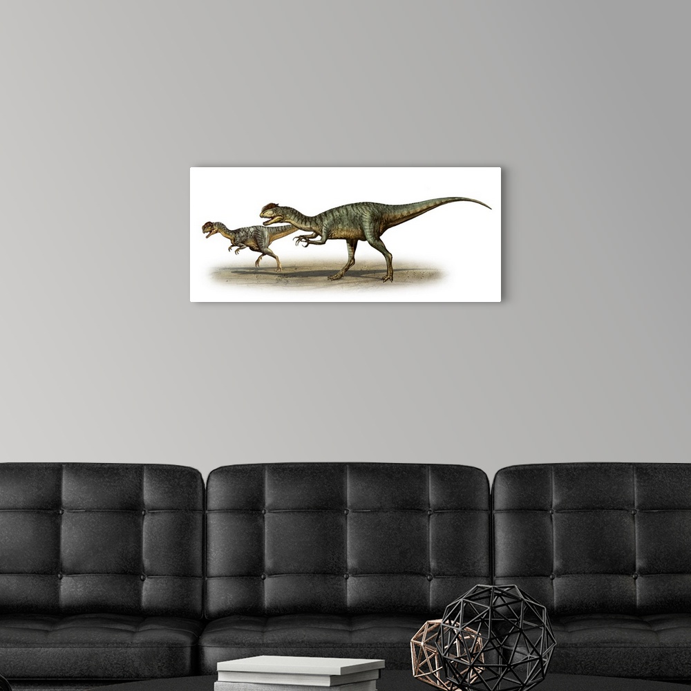 A modern room featuring Dilophosaurus wetherilli, a prehistoric era dinosaur.