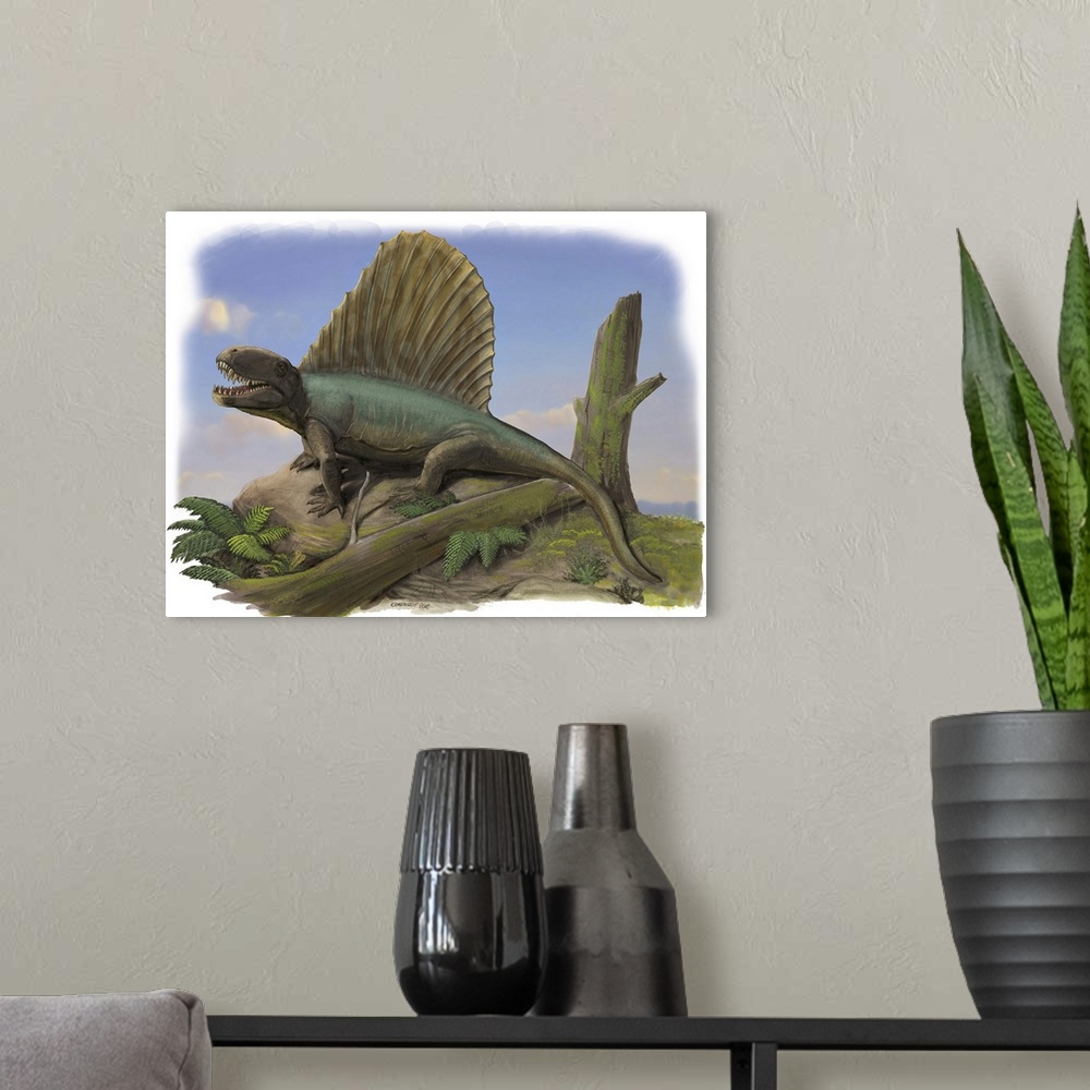 A modern room featuring Dimetrodon limbatus, a prehistoric animal.