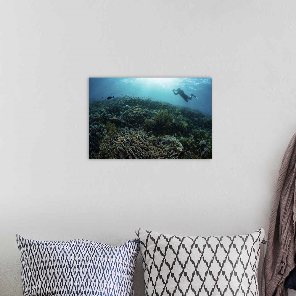 A bohemian room featuring Diver swimming above a beautiful coral reef in Komodo National Park, Indonesia.