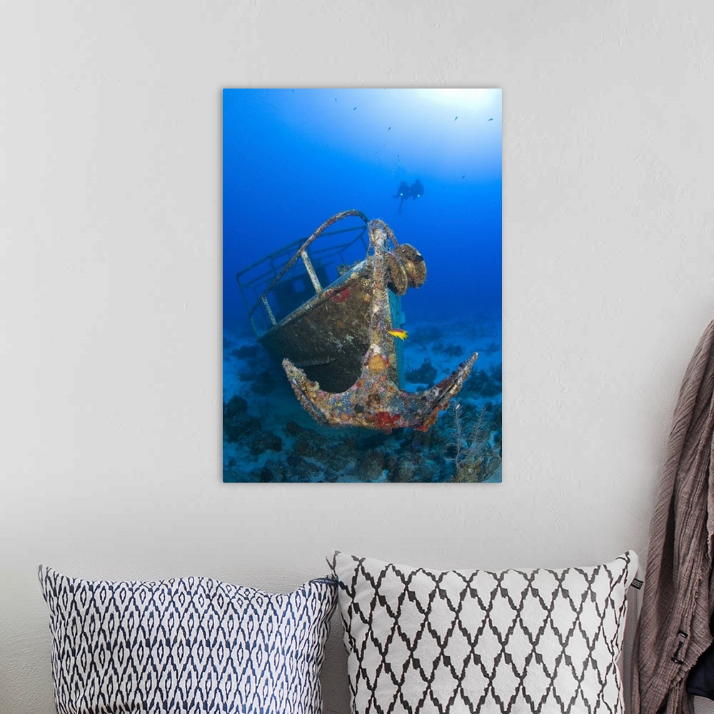 A bohemian room featuring Divers visit the wreck of the Pelicano which sits on the bottom of the Caribbean Sea near Playa D...