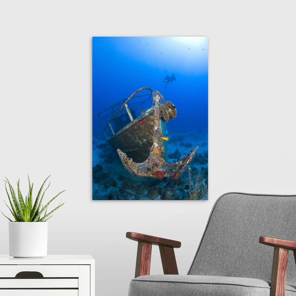 A modern room featuring Divers visit the wreck of the Pelicano which sits on the bottom of the Caribbean Sea near Playa D...