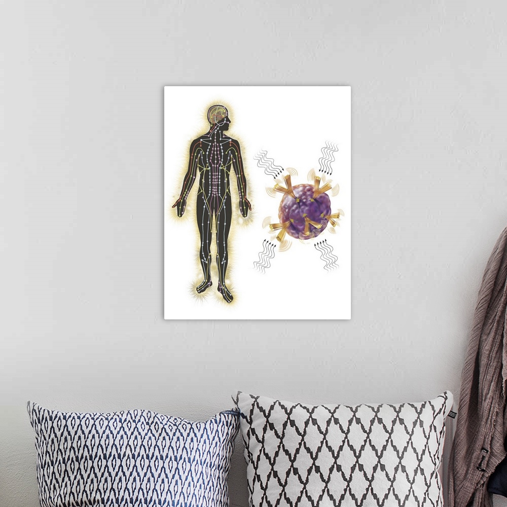 A bohemian room featuring Energy meridians of the human body and a cell showing energy vibrational communication.