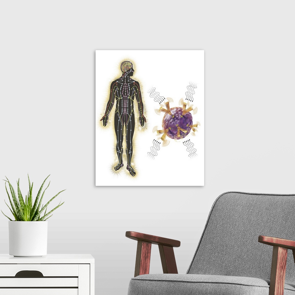 A modern room featuring Energy meridians of the human body and a cell showing energy vibrational communication.