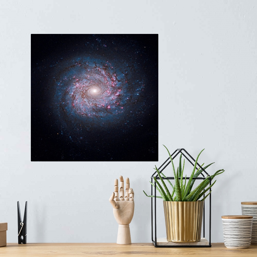 A bohemian room featuring This face-on spiral galaxy, called NGC 3982, is striking for its rich tapestry of star birth, alo...