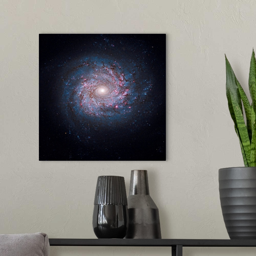 A modern room featuring This face-on spiral galaxy, called NGC 3982, is striking for its rich tapestry of star birth, alo...