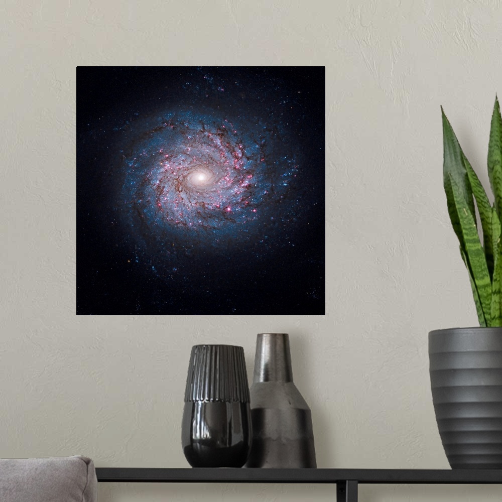 A modern room featuring This face-on spiral galaxy, called NGC 3982, is striking for its rich tapestry of star birth, alo...
