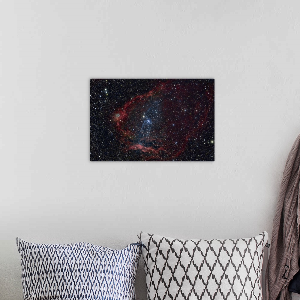 A bohemian room featuring Flying Bat Nebula (Sh2-129), and the Squid Nebula (OU4).