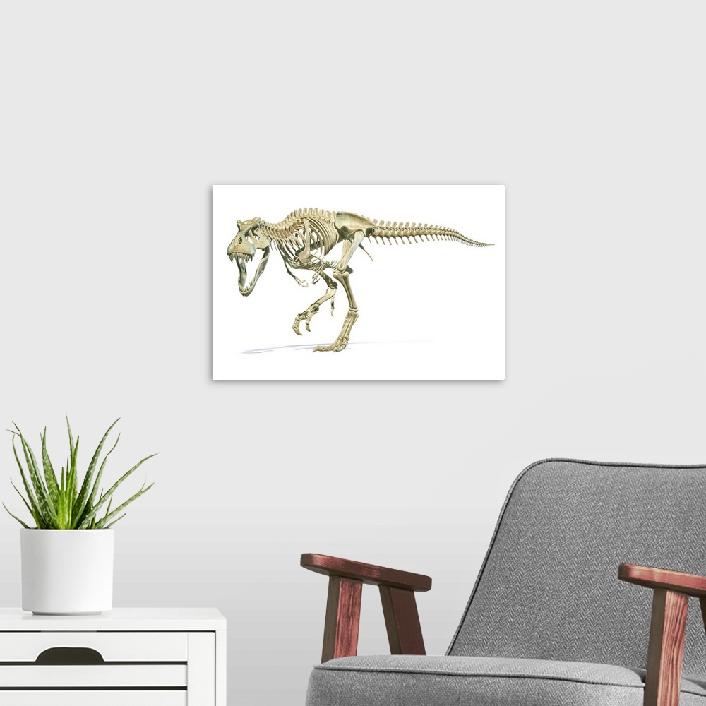 A modern room featuring Full skeleton 3D rendering of Tyrannosaurus rex dinosaur.