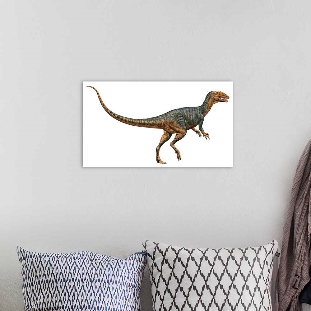 A bohemian room featuring Gojirasaurus dinosaur.