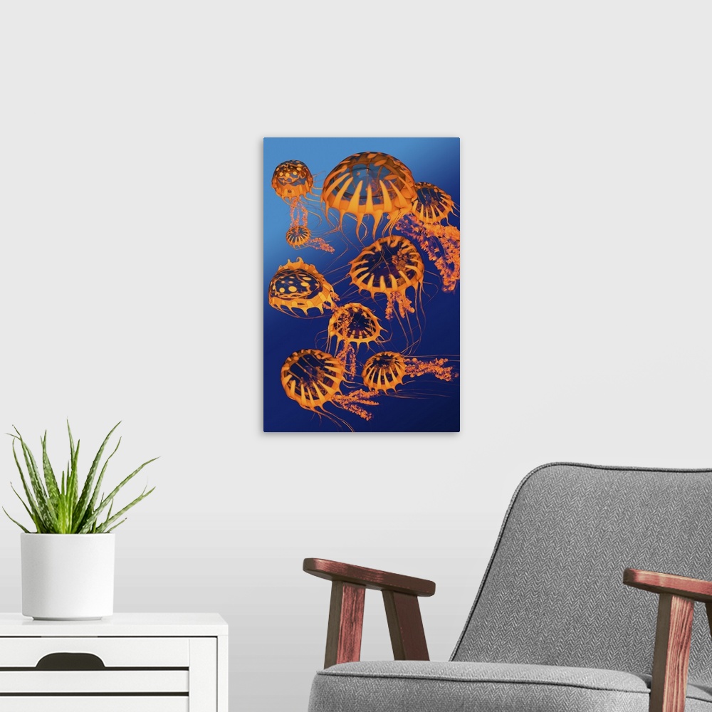 A modern room featuring Illustration of a group of golden jellyfish.