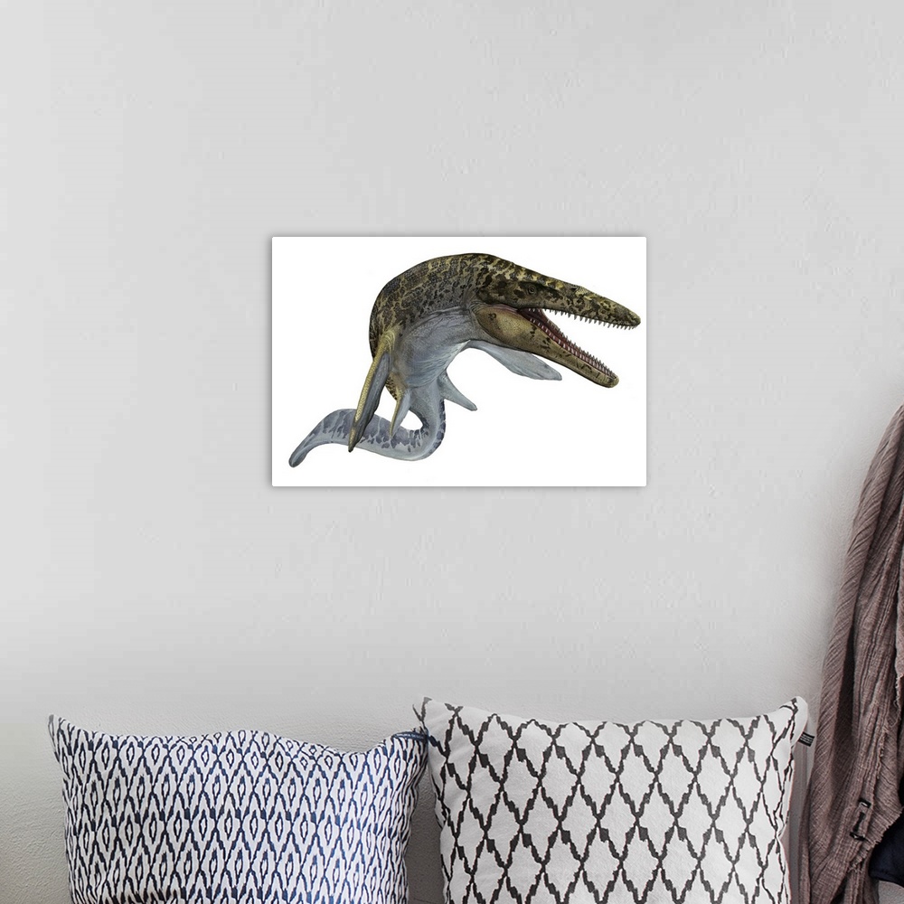 A bohemian room featuring Illustration of a Mosasaurus from the Cretaceous period.