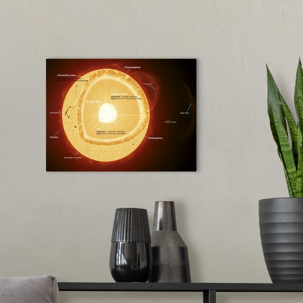 A modern room featuring Illustration showing the various parts that make up the sun.