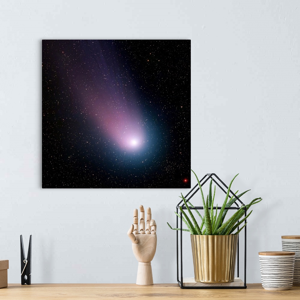 A bohemian room featuring Image of comet C/2001 Q4 NEAT
