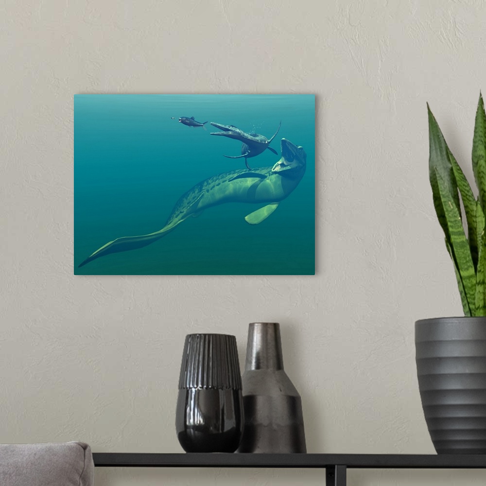 A modern room featuring Artist's concept of primary marine predators that shared the ocean waters of the Western Interior...