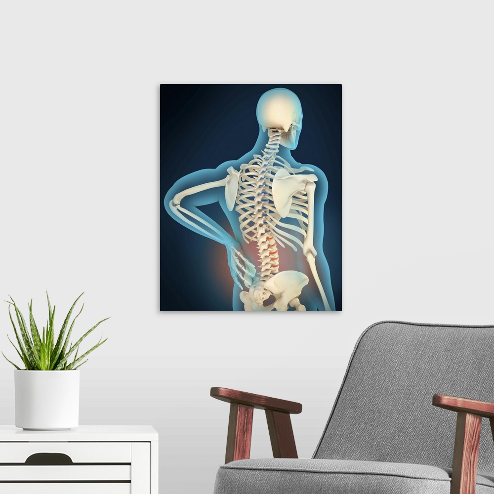 A modern room featuring Medical illustration showing inflammation and pain in human back area, perspective view.