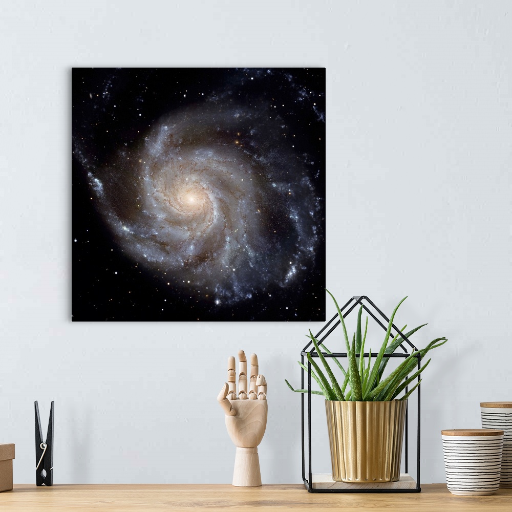 A bohemian room featuring Messier 101 the Pinwheel Galaxy