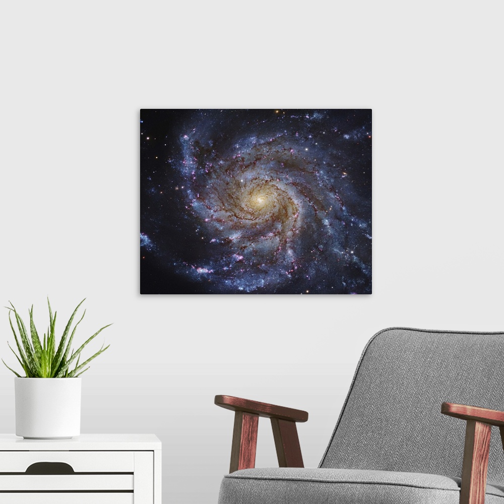 A modern room featuring Messier 101, The Pinwheel Galaxy in Ursa Major.
