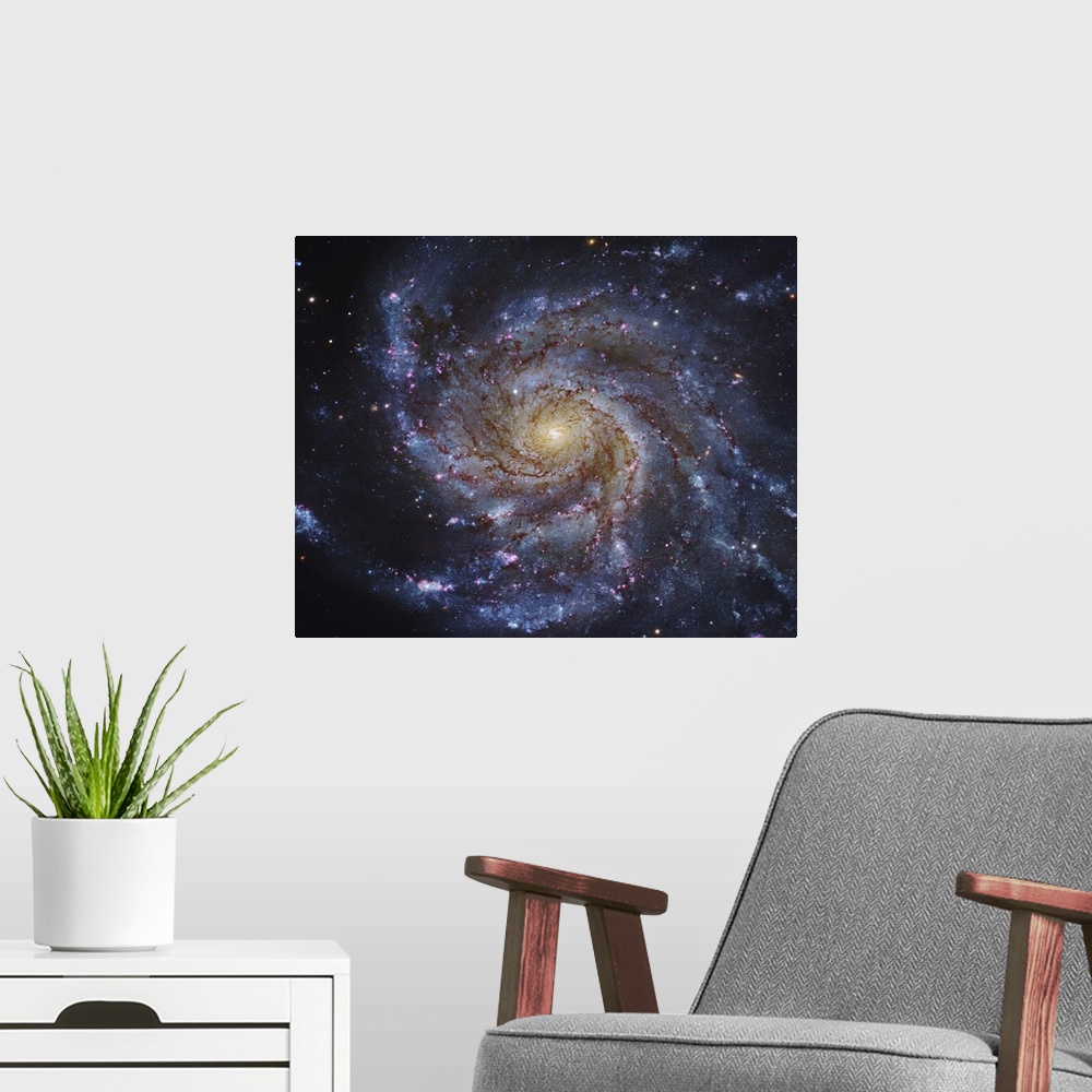 A modern room featuring Messier 101, The Pinwheel Galaxy in Ursa Major.