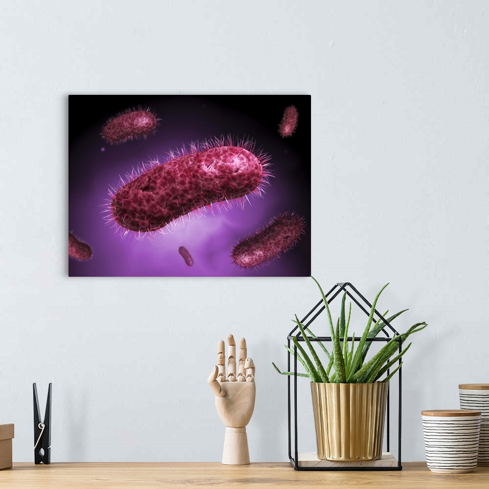A bohemian room featuring Microscopic view of bacteria.