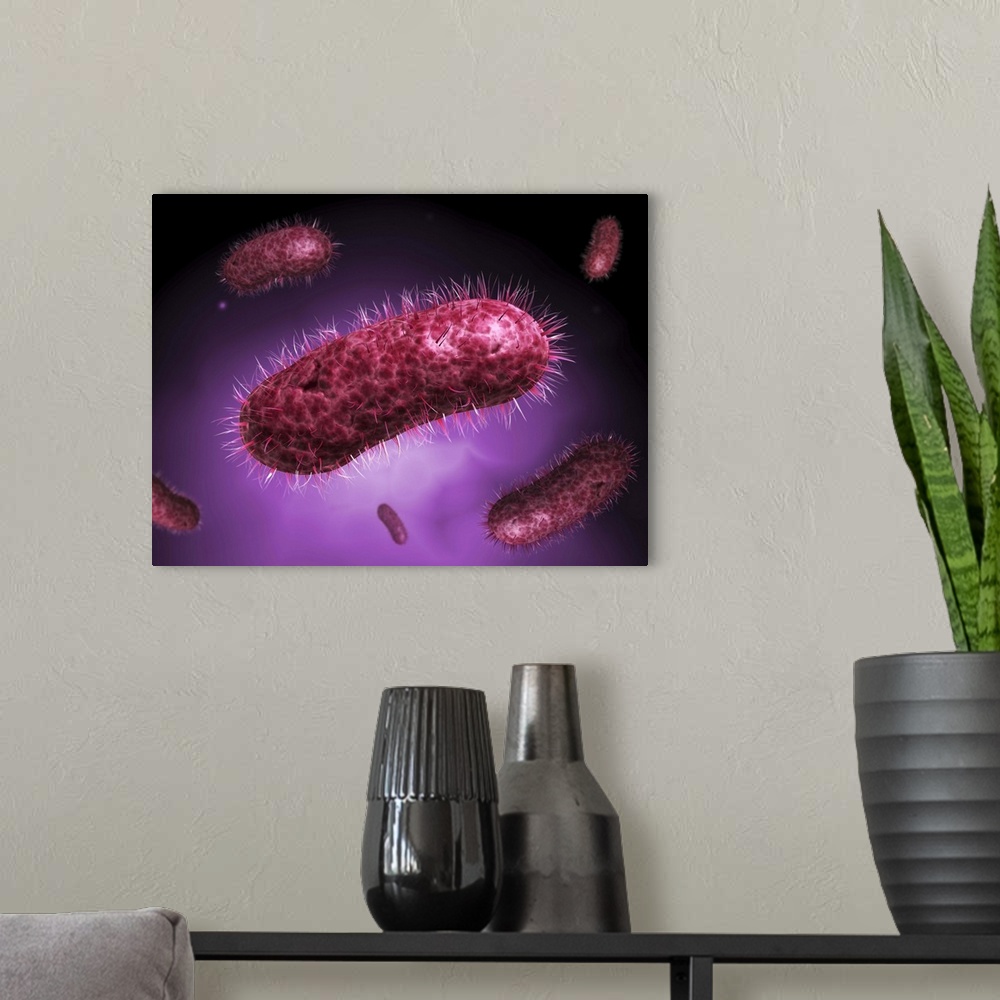 A modern room featuring Microscopic view of bacteria.